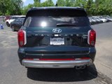 New 2025 Hyundai Palisade Calligraphy image 4
