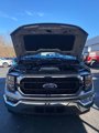Used 2023 Ford F150 XLT image 3