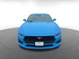 Used 2024 Ford Mustang Premium image 4