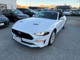 Used 2018 Ford Mustang GT Premium w/ Equipment Group 401A image 3