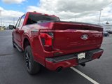 New 2025 Ford F150 XLT image 5