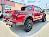 Used 2019 Ford F150 Raptor w/ Equipment Group 802A Luxury image 5