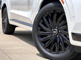 New 2025 Hyundai Palisade Calligraphy image 2