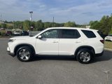 New 2025 Honda Pilot EX-L image 2