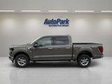 New 2025 Ford F150 XLT w/ Equipment Group 301A Standard image 4