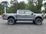 New 2025 Ford F150 STX w/ STX Black Appearance Package image 3