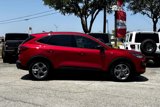 Used 2025 Ford Escape ST-Line w/ Tech Pack #1 image 4