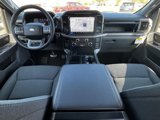 New 2025 Ford F150 XLT w/ Equipment Group 302A MID image 5