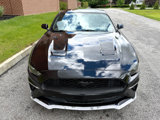 Used 2018 Ford Mustang Premium w/ Equipment Group 201A image 2