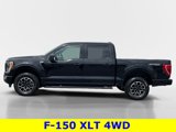 Certified 2022 Ford F150 XLT w/ Equipment Group 302A High image 3