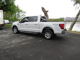 Used 2024 Ford F150 XLT image 5