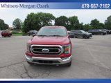 Used 2021 Ford F150 XLT w/ Equipment Group 302A High image 2
