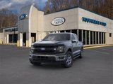 New 2025 Ford F150 XLT w/ Equipment Group 302A MID image 2