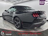 Used 2024 Ford Mustang Premium image 4