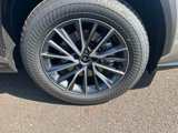 New 2026 Lexus NX 350 AWD w/ Premium Package image 5
