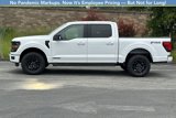 New 2025 Ford F150 XLT image 6