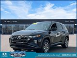 Certified 2024 Hyundai Tucson Blue image 4