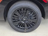 New 2025 Hyundai Santa Fe Calligraphy image 5