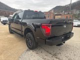 New 2025 Ford F150 XLT image 3