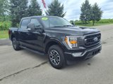 Used 2023 Ford F150 XLT w/ Equipment Group 302A High image 3