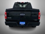 Used 2022 Ford F150 XLT w/ Equipment Group 302A High image 6