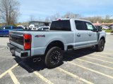 New 2025 Ford F250 Platinum image 4