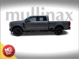 New 2025 Ford F250 Lariat image 2
