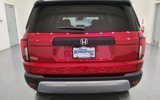 New 2026 Honda Passport RTL image 4