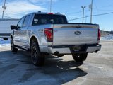 New 2025 Ford F150 XLT w/ Equipment Group 302A MID image 6