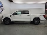 New 2025 Ford F150 STX image 4