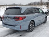 New 2025 Honda Odyssey Elite image 3