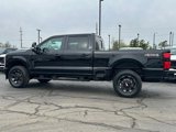 New 2025 Ford F250 XL image 5