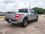 Certified 2021 Ford F150 XL w/ STX Appearance Package image 3