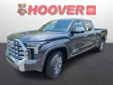 New 2025 Toyota Tundra 1794 Edition image 6