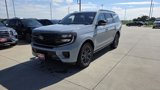 New 2025 Ford Expedition Platinum w/ Stealth Performance Package image 3