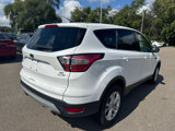 Used 2017 Ford Escape SE w/ SE Cold Weather Package image 5