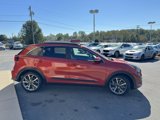 Used 2022 Kia Niro Touring Special Edition image 4