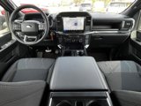 New 2025 Ford F150 STX image 5