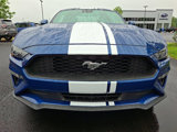Used 2023 Ford Mustang Premium w/ Equipment Group 201A image 2