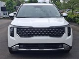 New 2025 Kia Carnival SX image 2