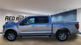 New 2025 Ford F150 XLT w/ Equipment Group 301A Standard image 2