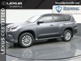 Certified 2022 Lexus GX 460 Premium image 4