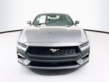 Used 2024 Ford Mustang Premium image 2