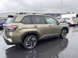 Certified 2025 Subaru Forester Limited image 6