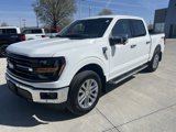 New 2025 Ford F150 XLT w/ Equipment Group 303A High image 4