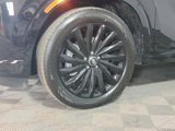 New 2025 Hyundai Palisade Calligraphy image 4