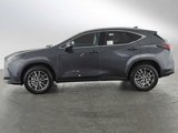 New 2025 Lexus NX 350h AWD w/ Premium Package image 6