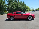 Used 2007 Ford Mustang GT Premium image 4