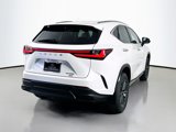 New 2025 Lexus NX 350 AWD w/ Luxury Package image 5