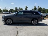 New 2026 Hyundai Palisade Calligraphy image 4